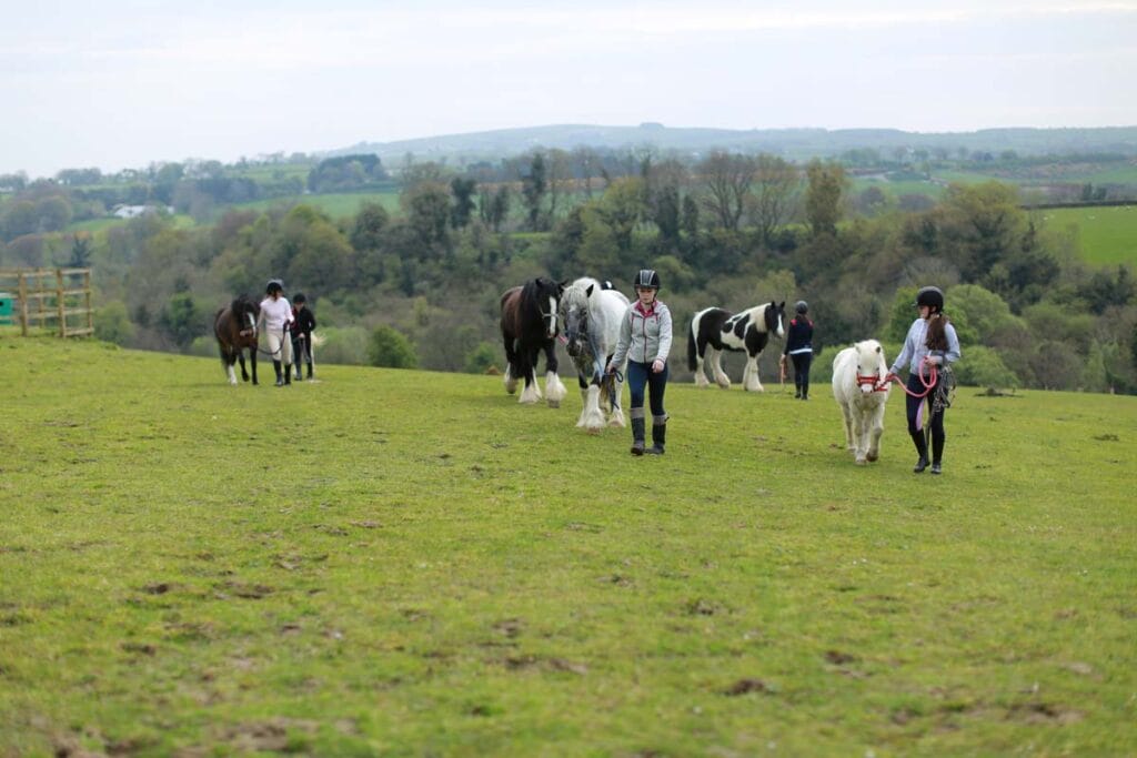 People walking on the field of Farm Experiences at City Of Dery Farm and Equestrians.